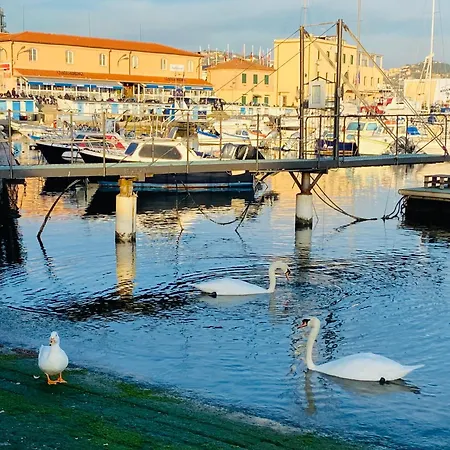Nuovissimo Trilocale In Centro : Ca' Del Mar * סנרמו