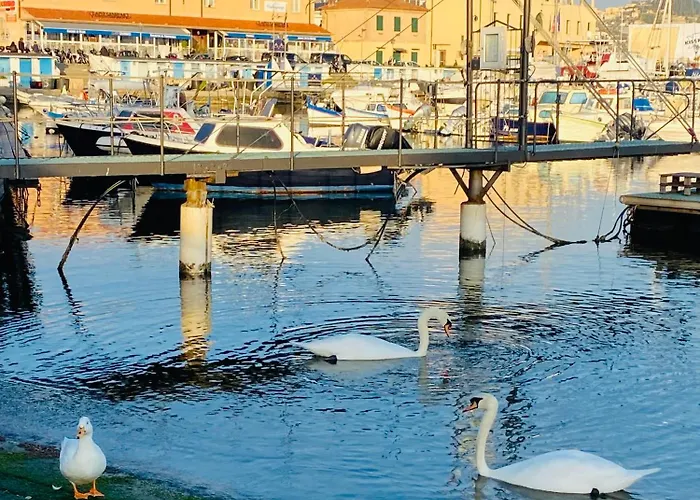 Nuovissimo Trilocale In Centro : Ca' Del Mar * Sanremo